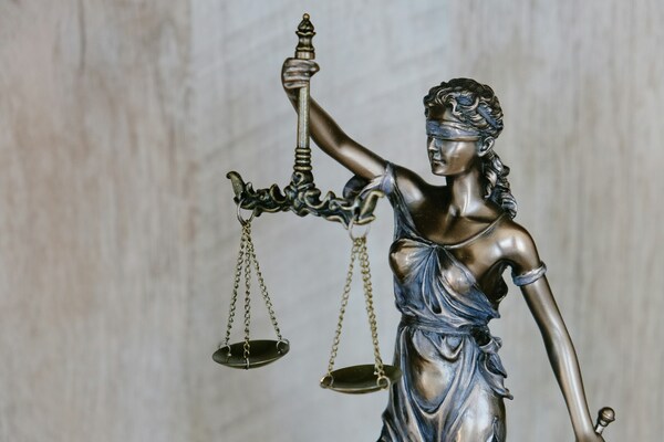 Constitutional Court ruling public land sales South Africa